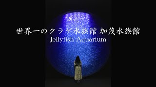 【Vlog】世界一のクラゲ水族館  加茂水族館  /  Jellyfish Aquarium