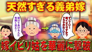 【2chスカッと】嫁いびり大好き姑に“ド天然”義弟嫁をぶつけた結果ｗ【ゆっくり解説】