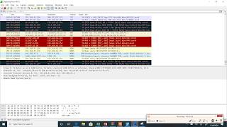 Ping Plotter Use & Wireshark testing