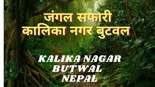 जंगल सफारी,कालिका नगर, बुटवल- Kalika nagar Butwal Nepal.Facts history Nepali.