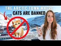 Cats are BANNED on this arctic island | Svalbard, Longyearbyen