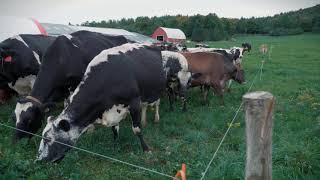 Faces of Vermont Agriculture: Sweet Rowen Farm