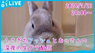 【雑談・うさぎ】うさぎのアッシュとおっさんの深夜の生ダラ配信　2024/7/23