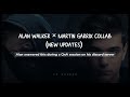 Alan Walker × Martin Garrix Collab (New Updates)