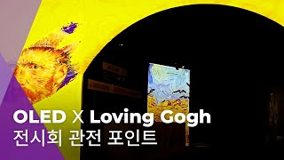 반 고흐 전시 속 OLED 갤러리 | OLED X Loving Gogh