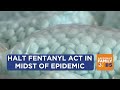 Halt Fentanyl act in midst of fentanyl epidemic