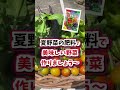 夏野菜は収穫までしっかり肥料あげてくだい。　 夏野菜の肥料　 花ごころ　 shorts