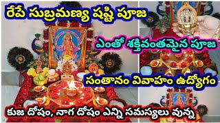 Subramanya sasti pooja vidhanam | 2024 subramanya sasti pooja | subramanya Swami pooja 2024