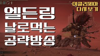 #4 엘든링 발컨도 깨는 날로 먹는 공략 제작 방송