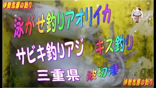 三重県波切漁港　アオリイカ、アジ、キス釣り