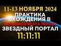 11-13.11.2024 Практика принятия энергий портала Звездных Врат. Квантовый скачок для улучшения жизни