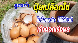 สูตรทำ ปุ๋ยเปลือกไข่ ทำแล้ว ใช้ได้เลย ไม่ต้องหมัก บำรุงราก บำรุงใบ เร่งดอกเร่งผลให้พืชเติบโตดี