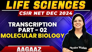 Transcription Part - 02 | Molecular Biology | Life Sciences | CSIR NET Dec 2024 | PW