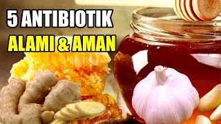 5 Antibiotik Alami yang Terbukti Aman dan Berkhasiat