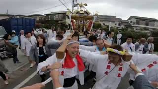 30年  平塚市 真土神社 例大祭  本社神輿立派な渡御です。