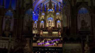 Notre-Dame Basilica , Montreal #notredame #notredamecathedral #montreal #cathedral