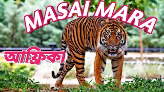 মাসাই মারা  আফ্রিকা | Masai mara of Africa | wild life of Africa | আফ্রিকার জীববৈচিত্র্য |