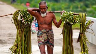 অপরুপ সুন্দর তেলিগাতী গ্রাম, তেলিগাতী, খুলনা।