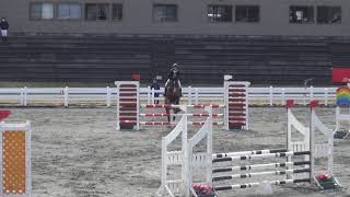 第51回関東学生馬術新人競技大会　新人戦　ジャンプオフ　1年　松尾　ゆずか　桜礼