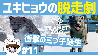 【プラネットズー】動物園は脱走事件に三つ子誕生に大忙し！ユキヒョウのジャンプ力なめてました【第11話】