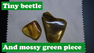 Polished my mossy green piece of baltic amber