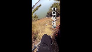 我承认我懒了，懒得配音，懒得字幕，只想好好钓个鱼放松放松。然后再“放归自然”#钓鱼人的快乐其实很简单 #秋天大家DOU来钓大鱼 #原来钓鱼才是抖音运动顶流