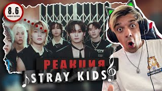 REACTION STRAY KIDS - STRAY KIDS / Реакция на STRAY KIDS - STRAY KIDS / НОСТАЛЬГИЯ!