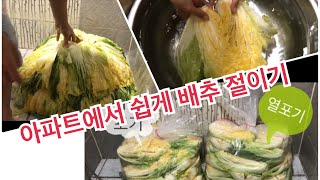 아파트에서 김장배추 아주 쉽게 절이는 방법 / 절임배추 만들기 / 김장김치