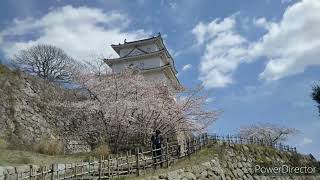 明石公園 櫓と桜2022.4.1