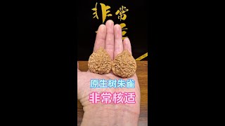 非常核适核桃铺开箱 很小众的一个品类、骨质很好可玩性很高！#文玩核桃 #文玩爱好者 #盘核桃 #精品文玩 #文玩手串