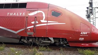 Thalys am Kölner Hbf - Thalys at Cologne main station - 科隆火车总站的Thalys - ケルン中央駅のタリス