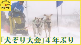 「犬たちの甲子園」が帰ってきた！稚内市で犬ぞりの全国大会4年ぶり開催「走っている姿かっこいい」