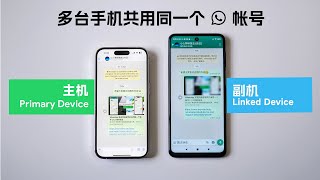 多台手机同时登录一个 WhatsApp 帐号？来看看怎么操作