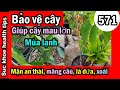 Che lạnh ấm cây Giúp MAU LỚN khỏe MẬN AN THÁI, RED ROCKET, MÃNG CÂÙ #571 grow plants faster