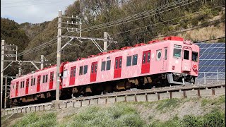 めでたいでんしゃ  さち　南海電鉄7100系（磯ノ浦） /　Medetai Train Sachi  Nankai 7100 Series  Isonoura.Wakayama