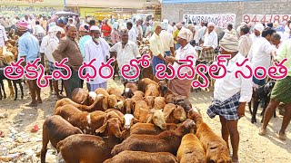 Badvel santha market #proddaturtraveller #badvelnewstoday #Badvelmarket #Badvel