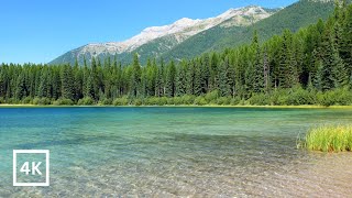 4K Clearwater Lake Ambience | Summer Day in Rocky Mountains | Nature Sounds for Sleep & Study