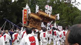 平成29年 須賀 錦織神社宮入 南河内だんじり祭り