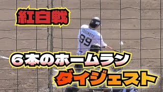 【プロ野球】2025年2月17日　オリックス　キャンプ　『紅白戦　6本のホームラン　ダイジェスト』