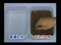 食品　スルメが生のイカに変身しちゃう.mpg