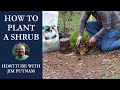 🏡How to Plant a Shrub👨‍🌾