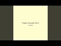 Fragile Cascade Storm