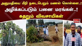 அனுமதியை மீறி நடைபெறும் மணல் கொள்ளை..! அழிக்கப்படும் பனை மரங்கள்..! கதறும் விவசாயிகள்