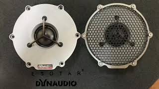 Dynaudio Esotar speaker cover