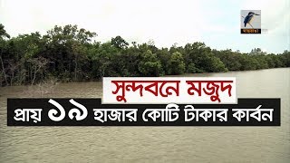 সুন্দরবনে মজুদ- প্রায় ১৯ হাজার কোটি টাকার কার্বন