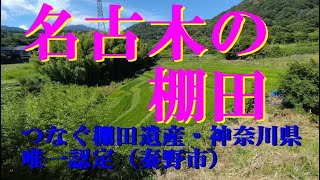 名古木の棚田（つなぐ棚田遺産）農林水産省選定・神奈川県唯一