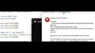 C++ Vector iterator invalidation | Code Crash | STL | Visual studio 2022 code example