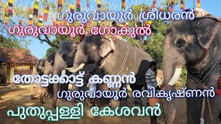 ചേർത്തല അരൂർ ശ്രീകാർത്ത്യായനി ദേവിക്ഷേത്രം ചിറപ്പ് മഹോത്സവം🙏🏻🐘2024