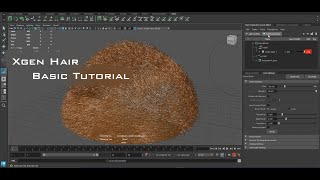 Maya Xgen hair Basic Tutorial