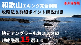 【知らないと損】和歌山エギング完全攻略！穴場＆人気ポイント15選！